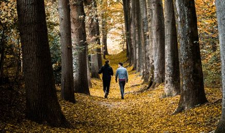 Kitoks interviu su Andriumi – studento gyvenimas Roterdame